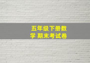 五年级下册数学 期末考试卷